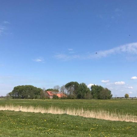 Ferienhof Spiegelhaus Krummhörn Kültér fotó