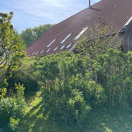 Ferienhof Spiegelhaus Krummhörn Kültér fotó