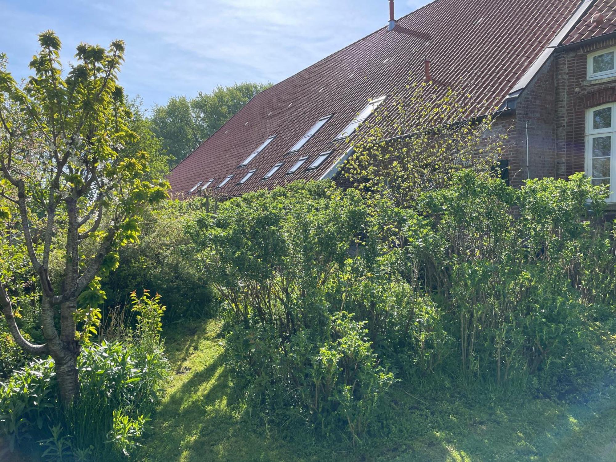 Ferienhof Spiegelhaus Krummhörn Kültér fotó